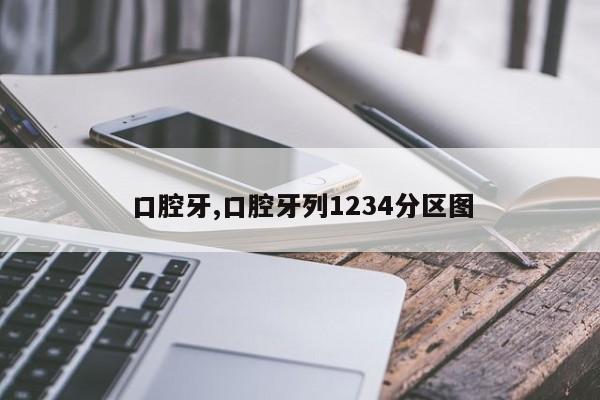 口腔牙,口腔牙列1234分区图